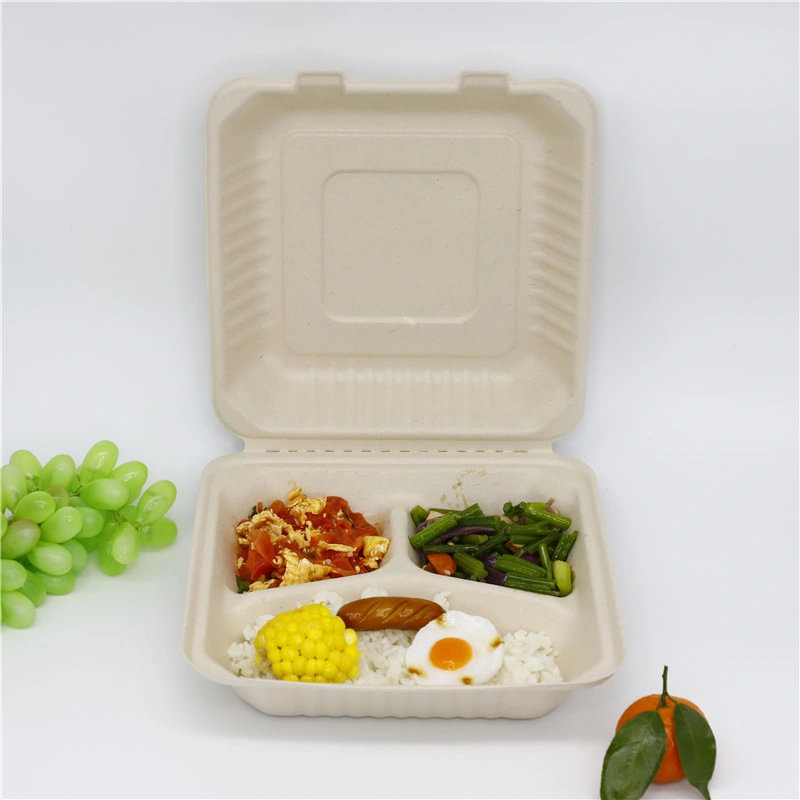 Biodegradable Food Packaging Container Sugarcane Container