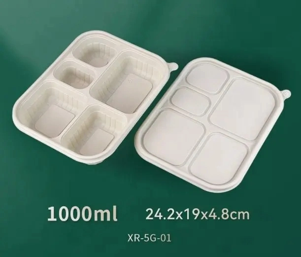 New for Sale Biodegradable Disposable Food Container Lunch Tableware Dinner Eco-Plaith Lisstic Packaging Box