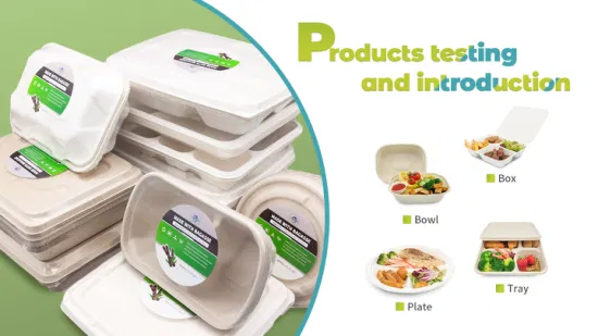 Scatola per catering per panetteria Bento in carta compostabile all'ingrosso Scatola per pranzo per alimenti biodegradabile usa e getta ecologica da 1000 ml con 2 scomparti